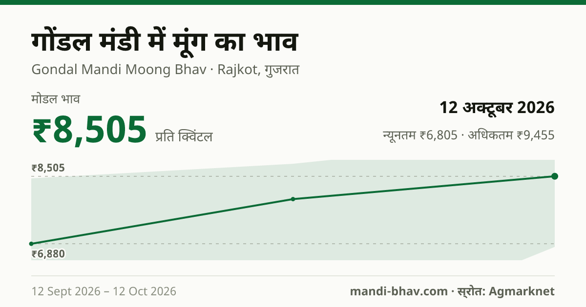 गोंडल मंडी में मूंग का भाव 12 अक्टूबर 2026: मोडल ₹8,505 प्रति क्विंटल, भाव के रुझान का चार्ट