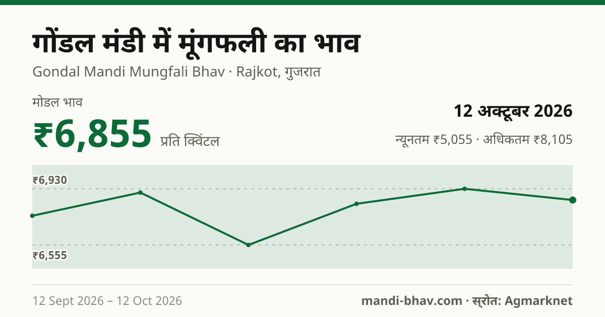 गोंडल मंडी में मूंगफली का भाव 12 अक्टूबर 2026: मोडल ₹6,855 प्रति क्विंटल, भाव के रुझान का चार्ट