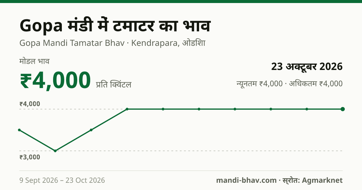 Gopa मंडी में टमाटर का भाव 23 अक्टूबर 2026: मोडल ₹4,000 प्रति क्विंटल, भाव के रुझान का चार्ट