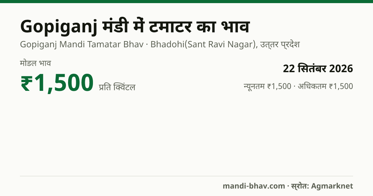 Gopiganj मंडी में टमाटर का भाव 22 सितंबर 2026: मोडल ₹1,500 प्रति क्विंटल, भाव के रुझान का चार्ट