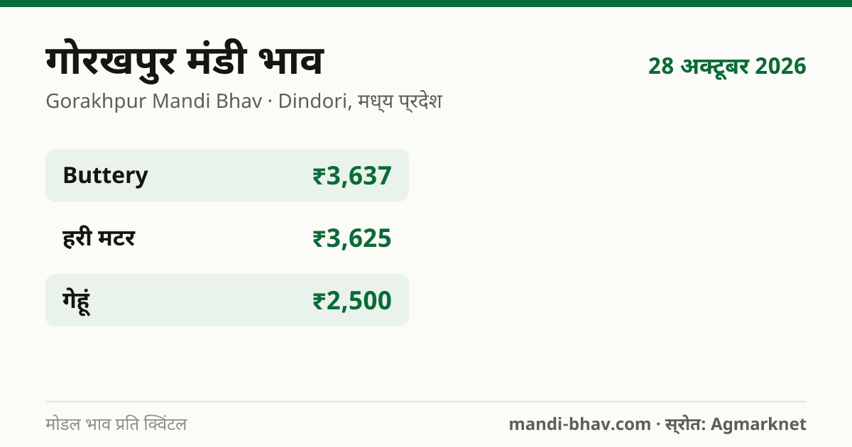 गोरखपुर मंडी भाव 28 अक्टूबर 2026: फसलवार मोडल रेट प्रति क्विंटल