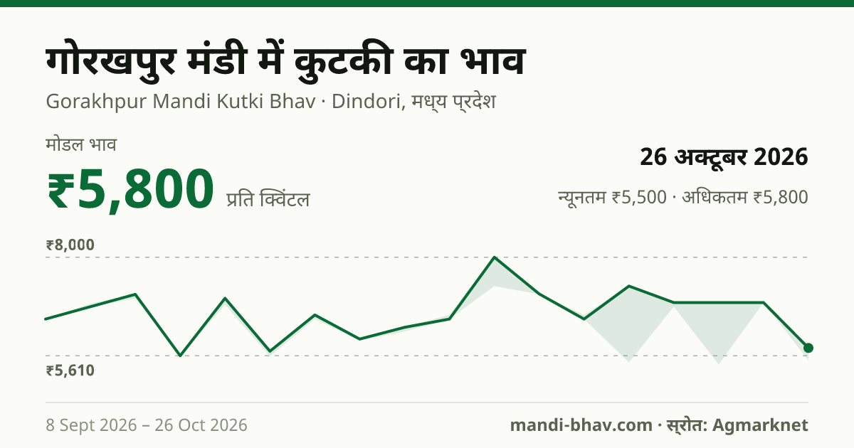 गोरखपुर मंडी में Kutki का भाव 26 अक्टूबर 2026: मोडल ₹5,800 प्रति क्विंटल, भाव के रुझान का चार्ट