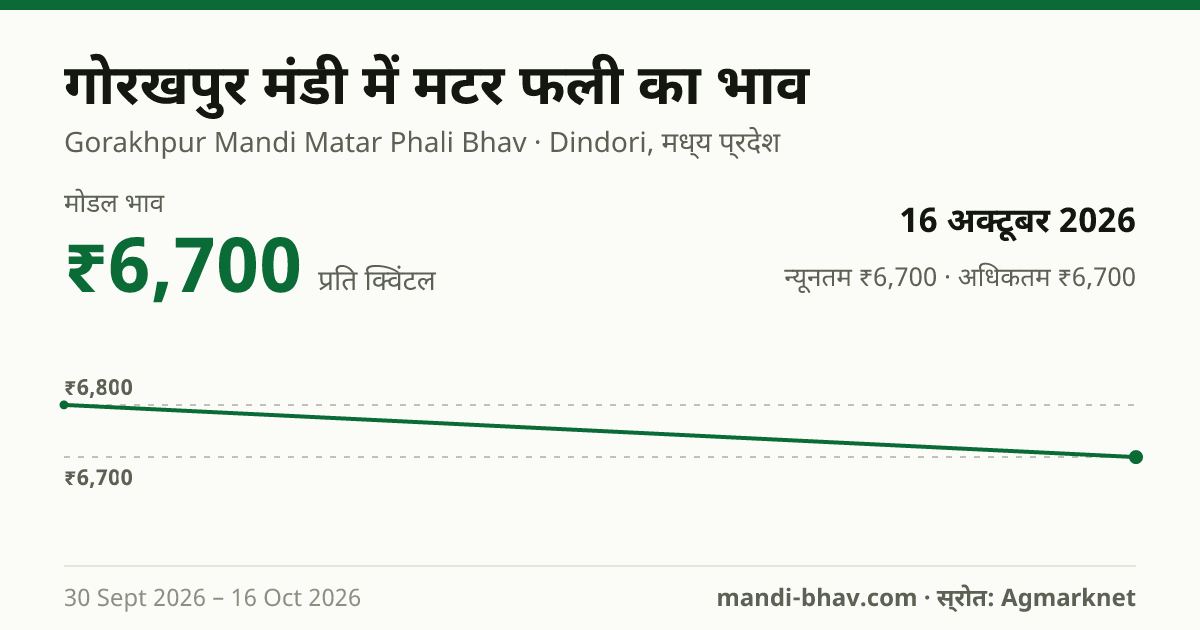 गोरखपुर मंडी में मटर फली का भाव 16 अक्टूबर 2026: मोडल ₹6,700 प्रति क्विंटल, भाव के रुझान का चार्ट
