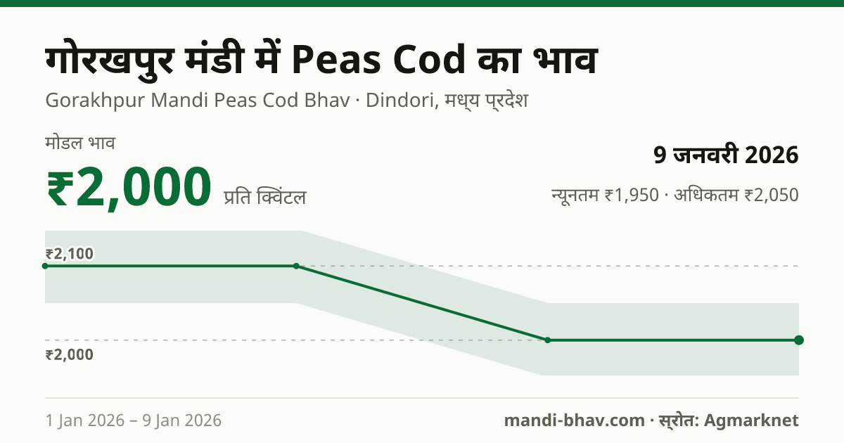 गोरखपुर मंडी में Peas Cod का भाव 9 जनवरी 2026: मोडल ₹2,000 प्रति क्विंटल, भाव के रुझान का चार्ट