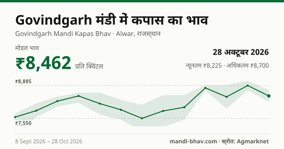 Govindgarh मंडी में कपास का भाव 28 अक्टूबर 2026: मोडल ₹8,462 प्रति क्विंटल, भाव के रुझान का चार्ट