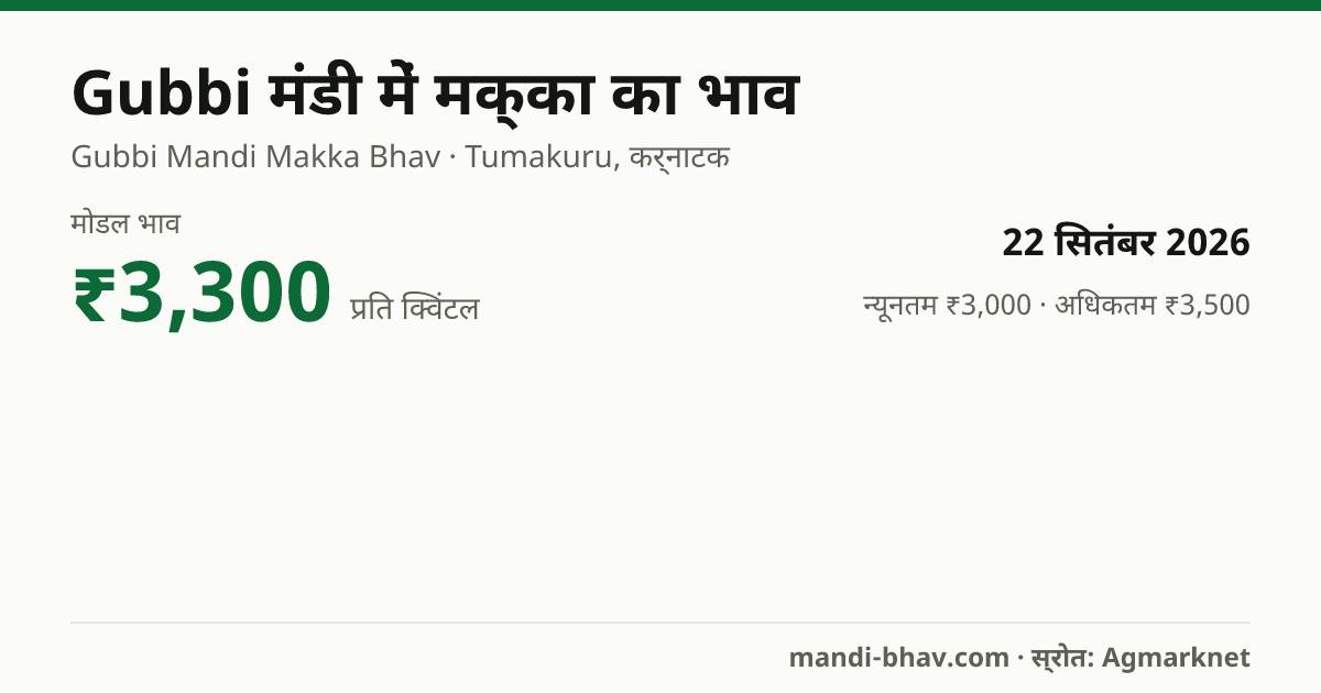 Gubbi मंडी में मक्का का भाव 22 सितंबर 2026: मोडल ₹3,300 प्रति क्विंटल, भाव के रुझान का चार्ट