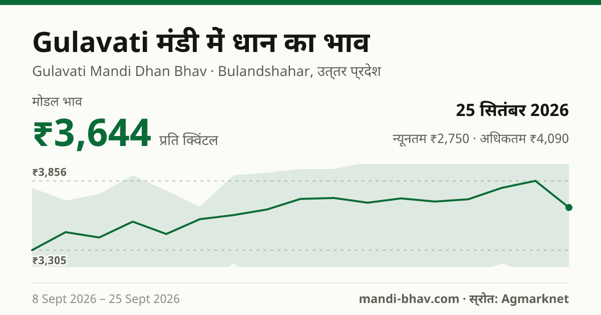 Gulavati मंडी में धान का भाव 25 सितंबर 2026: मोडल ₹3,644 प्रति क्विंटल, भाव के रुझान का चार्ट
