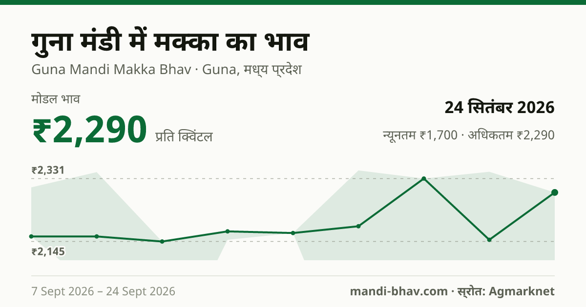 गुना मंडी में मक्का का भाव 24 सितंबर 2026: मोडल ₹2,290 प्रति क्विंटल, भाव के रुझान का चार्ट