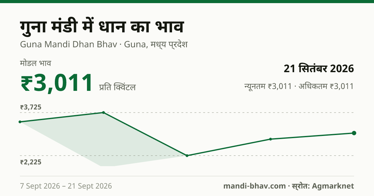 गुना मंडी में धान का भाव 21 सितंबर 2026: मोडल ₹3,011 प्रति क्विंटल, भाव के रुझान का चार्ट