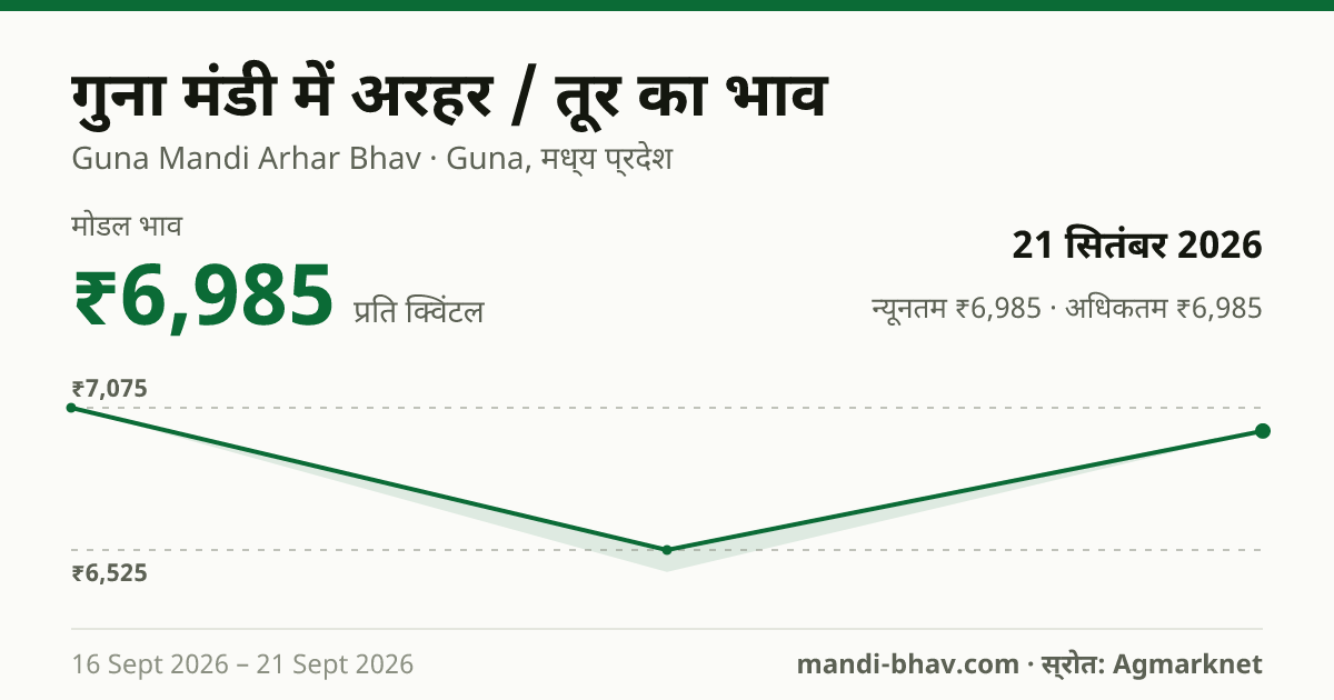 गुना मंडी में अरहर / तूर का भाव 21 सितंबर 2026: मोडल ₹6,985 प्रति क्विंटल, भाव के रुझान का चार्ट