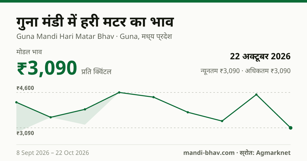गुना मंडी में हरी मटर का भाव 22 अक्टूबर 2026: मोडल ₹3,090 प्रति क्विंटल, भाव के रुझान का चार्ट