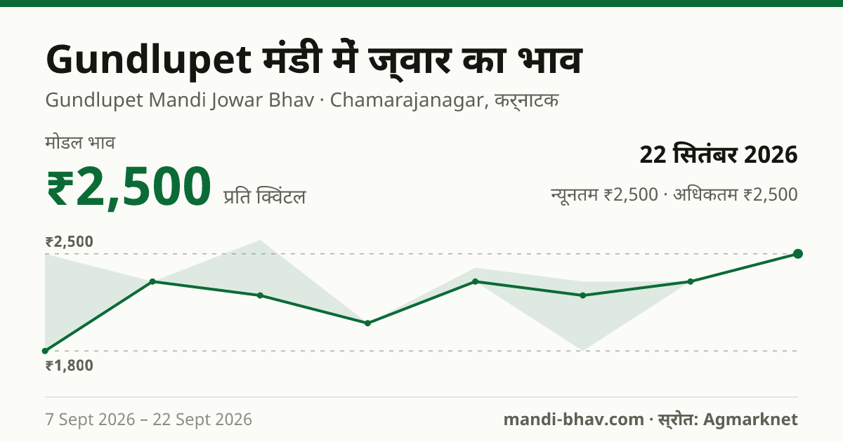 Gundlupet मंडी में ज्वार का भाव 22 सितंबर 2026: मोडल ₹2,500 प्रति क्विंटल, भाव के रुझान का चार्ट