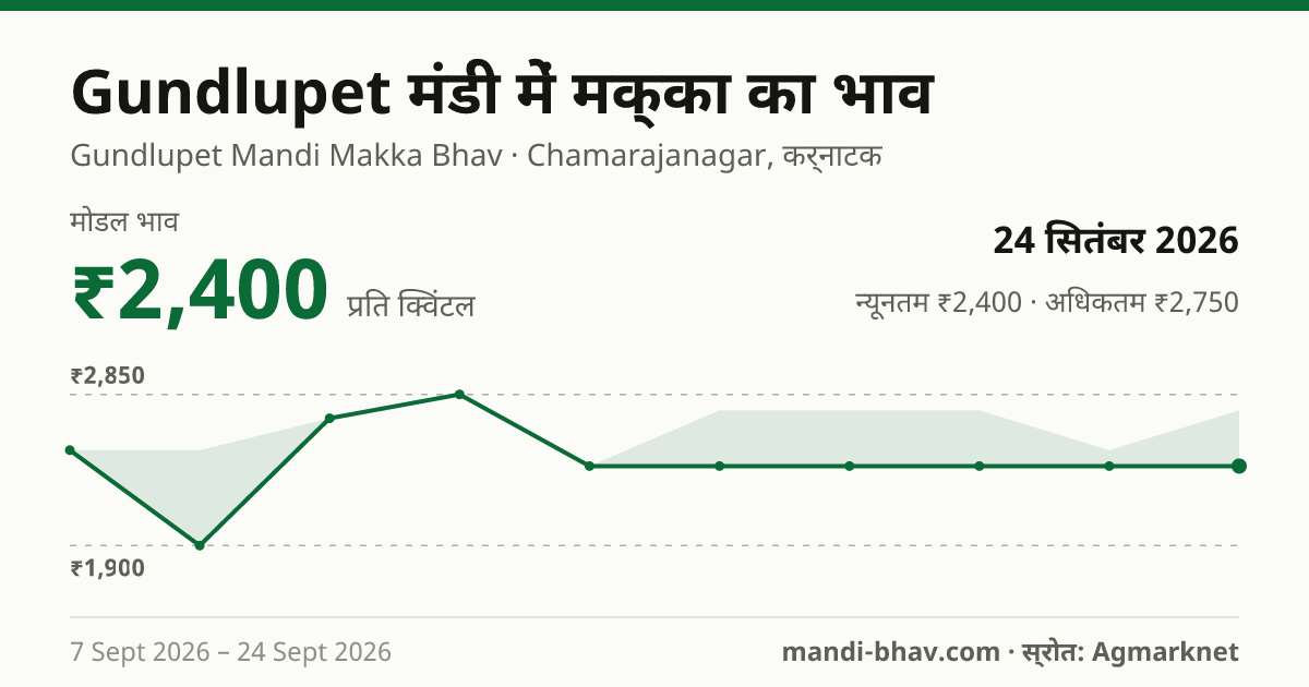 Gundlupet मंडी में मक्का का भाव 24 सितंबर 2026: मोडल ₹2,400 प्रति क्विंटल, भाव के रुझान का चार्ट