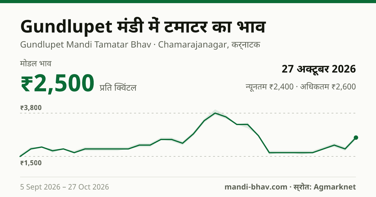 Gundlupet मंडी में टमाटर का भाव 27 अक्टूबर 2026: मोडल ₹2,500 प्रति क्विंटल, भाव के रुझान का चार्ट