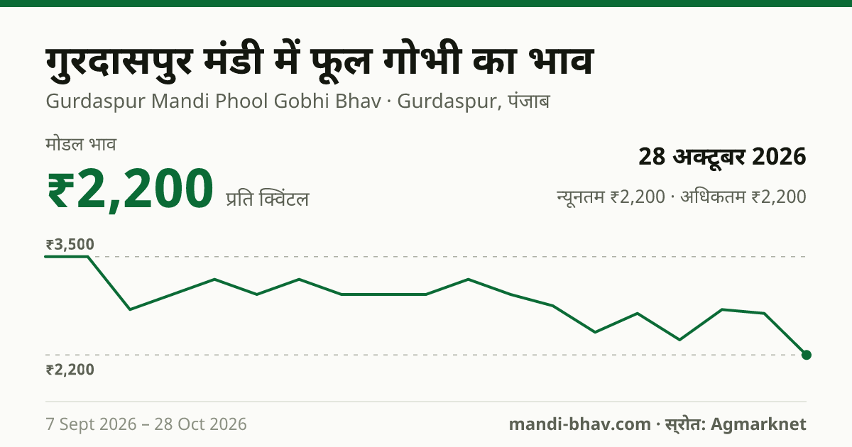 गुरदासपुर मंडी में फूल गोभी का भाव 28 अक्टूबर 2026: मोडल ₹2,200 प्रति क्विंटल, भाव के रुझान का चार्ट