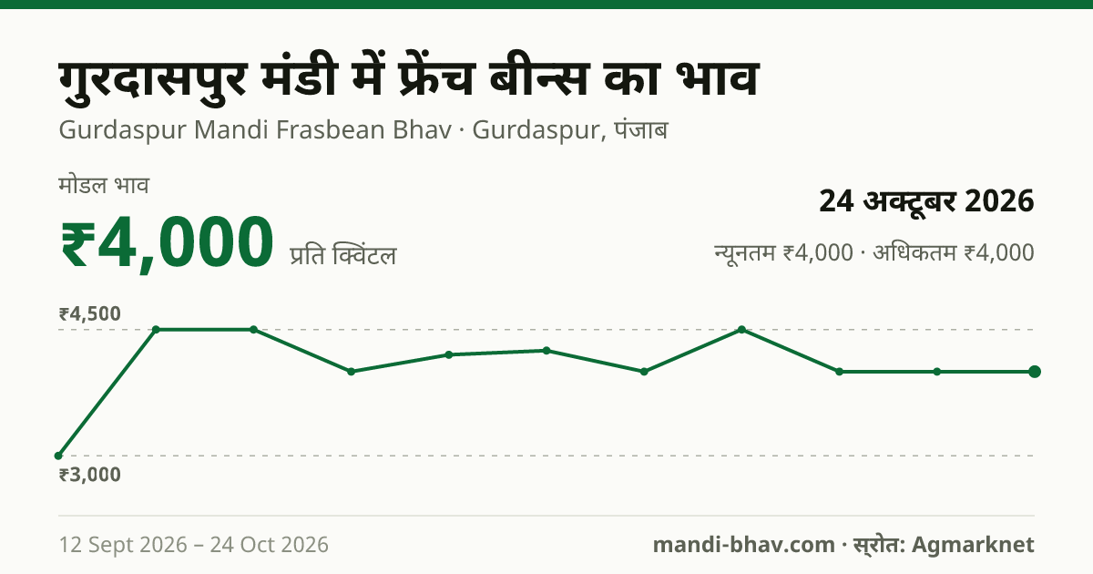 गुरदासपुर मंडी में फ्रेंच बीन्स का भाव 24 अक्टूबर 2026: मोडल ₹4,000 प्रति क्विंटल, भाव के रुझान का चार्ट