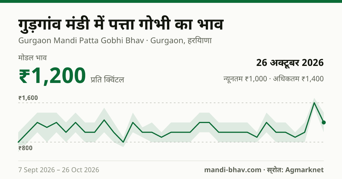 गुड़गांव मंडी में पत्ता गोभी का भाव 26 अक्टूबर 2026: मोडल ₹1,200 प्रति क्विंटल, भाव के रुझान का चार्ट