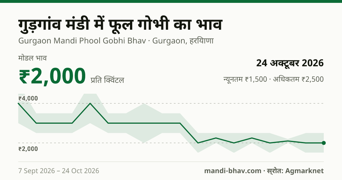 गुड़गांव मंडी में फूल गोभी का भाव 24 अक्टूबर 2026: मोडल ₹2,000 प्रति क्विंटल, भाव के रुझान का चार्ट