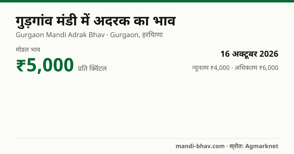 गुड़गांव मंडी में अदरक का भाव 16 अक्टूबर 2026: मोडल ₹5,000 प्रति क्विंटल, भाव के रुझान का चार्ट
