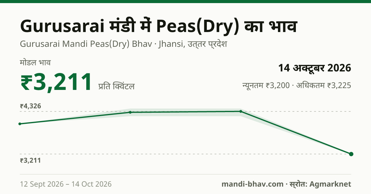 Gurusarai मंडी में Peas(Dry) का भाव 14 अक्टूबर 2026: मोडल ₹3,211 प्रति क्विंटल, भाव के रुझान का चार्ट