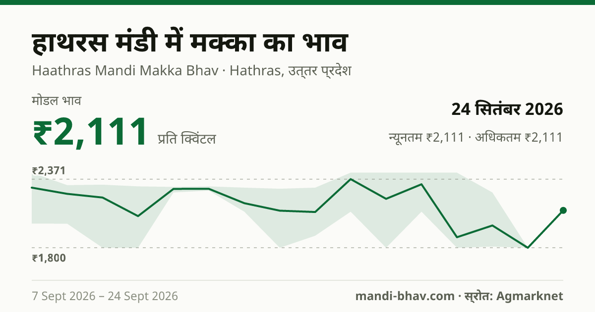 हाथरस मंडी में मक्का का भाव 24 सितंबर 2026: मोडल ₹2,111 प्रति क्विंटल, भाव के रुझान का चार्ट