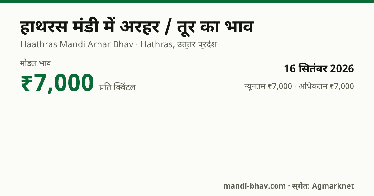 हाथरस मंडी में अरहर / तूर का भाव 16 सितंबर 2026: मोडल ₹7,000 प्रति क्विंटल, भाव के रुझान का चार्ट