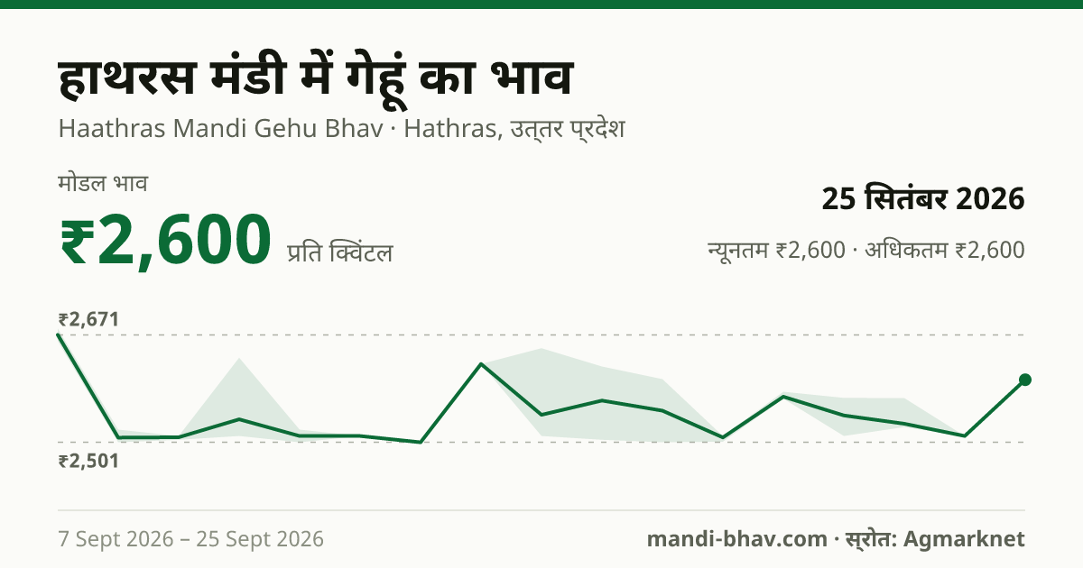 हाथरस मंडी में गेहूं का भाव 25 सितंबर 2026: मोडल ₹2,600 प्रति क्विंटल, भाव के रुझान का चार्ट