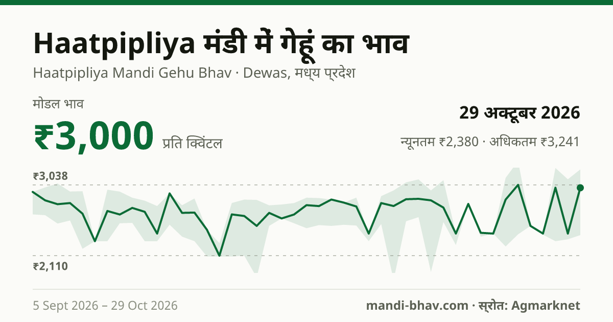 Haatpipliya मंडी में गेहूं का भाव 29 अक्टूबर 2026: मोडल ₹3,000 प्रति क्विंटल, भाव के रुझान का चार्ट
