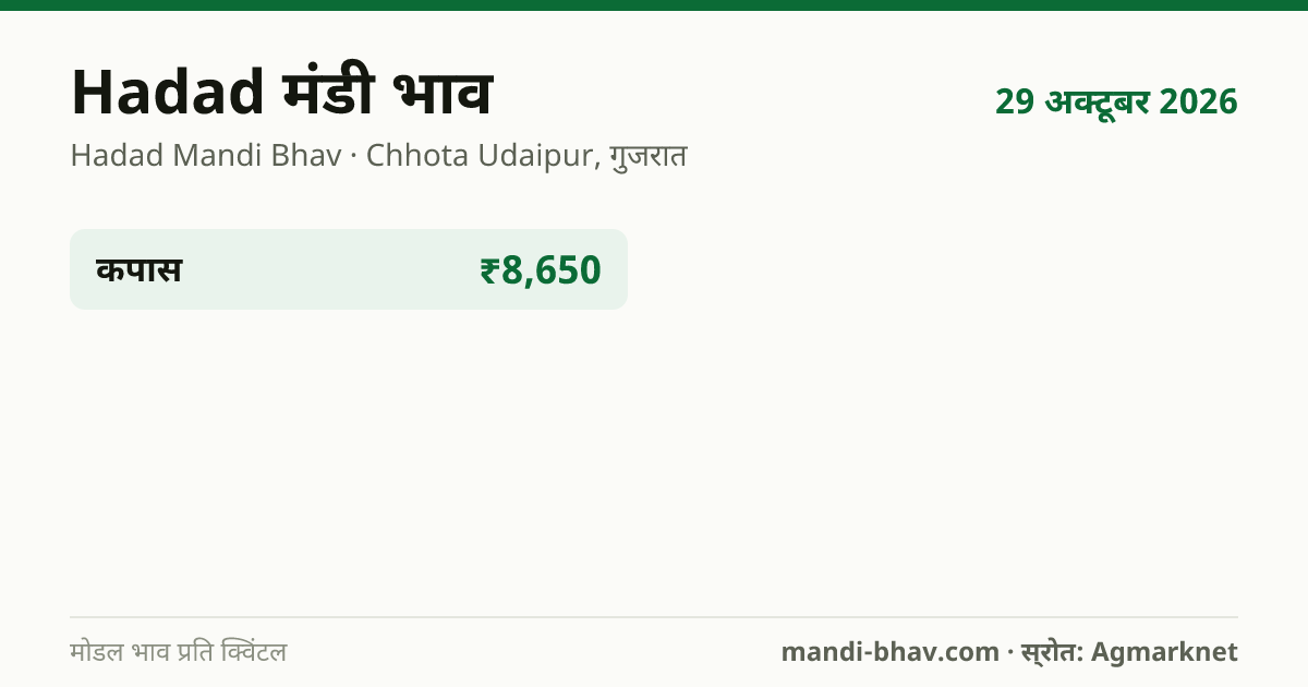 Hadad मंडी भाव 29 अक्टूबर 2026: फसलवार मोडल रेट प्रति क्विंटल