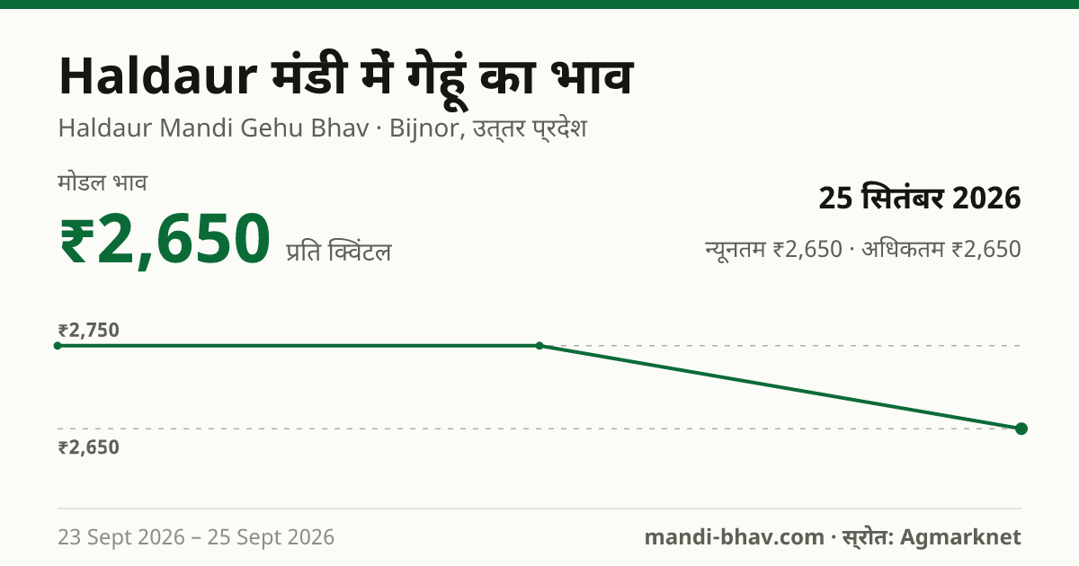Haldaur मंडी में गेहूं का भाव 25 सितंबर 2026: मोडल ₹2,650 प्रति क्विंटल, भाव के रुझान का चार्ट