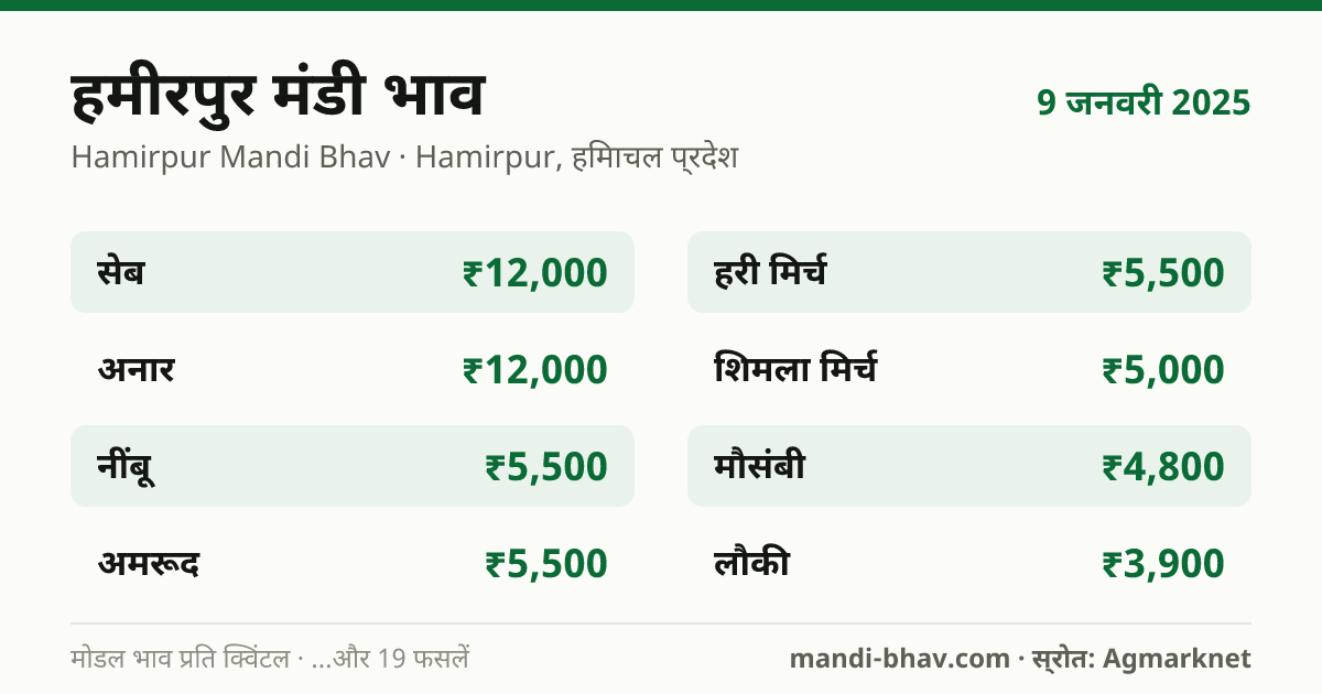 हमीरपुर मंडी भाव 9 जनवरी 2025: फसलवार मोडल रेट प्रति क्विंटल