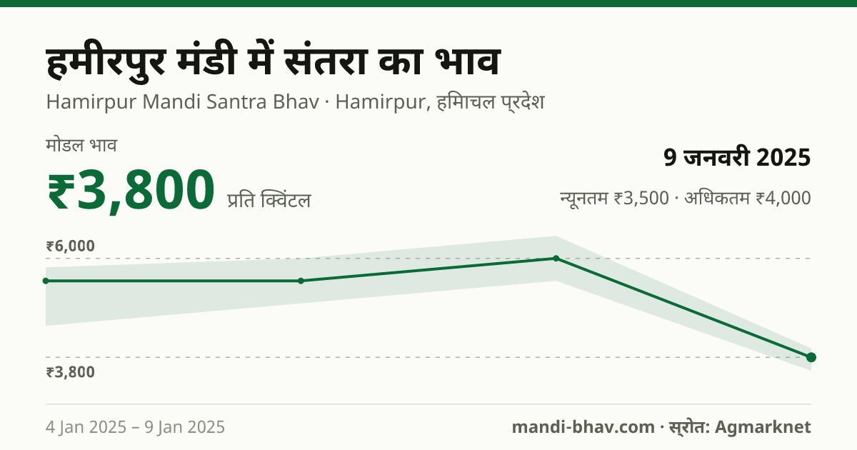 हमीरपुर मंडी में संतरा का भाव 9 जनवरी 2025: मोडल ₹3,800 प्रति क्विंटल, भाव के रुझान का चार्ट