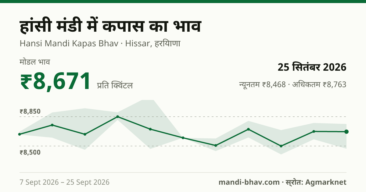 हांसी मंडी में कपास का भाव 25 सितंबर 2026: मोडल ₹8,671 प्रति क्विंटल, भाव के रुझान का चार्ट