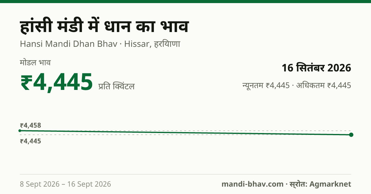 हांसी मंडी में धान का भाव 16 सितंबर 2026: मोडल ₹4,445 प्रति क्विंटल, भाव के रुझान का चार्ट