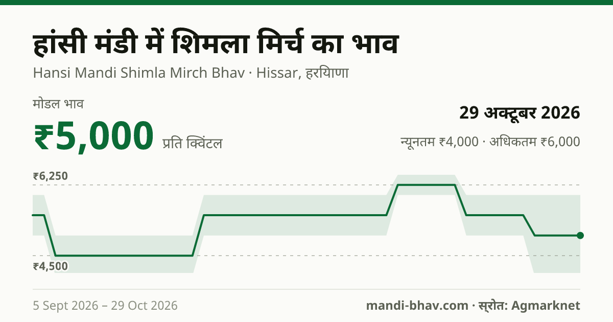 हांसी मंडी में शिमला मिर्च का भाव 29 अक्टूबर 2026: मोडल ₹5,000 प्रति क्विंटल, भाव के रुझान का चार्ट