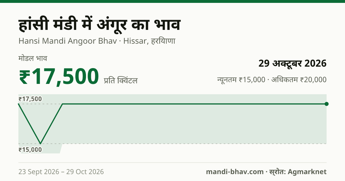 हांसी मंडी में अंगूर का भाव 29 अक्टूबर 2026: मोडल ₹17,500 प्रति क्विंटल, भाव के रुझान का चार्ट
