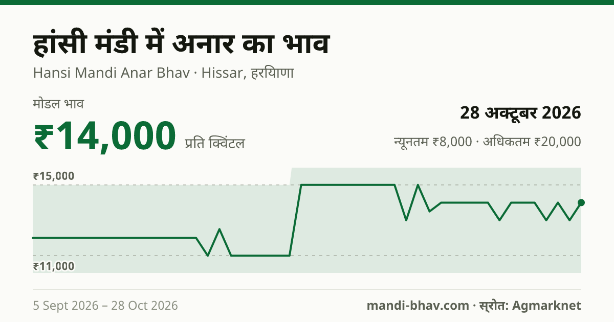 हांसी मंडी में अनार का भाव 28 अक्टूबर 2026: मोडल ₹14,000 प्रति क्विंटल, भाव के रुझान का चार्ट