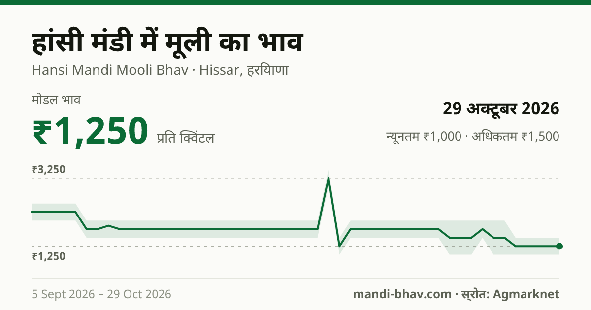 हांसी मंडी में मूली का भाव 29 अक्टूबर 2026: मोडल ₹1,250 प्रति क्विंटल, भाव के रुझान का चार्ट