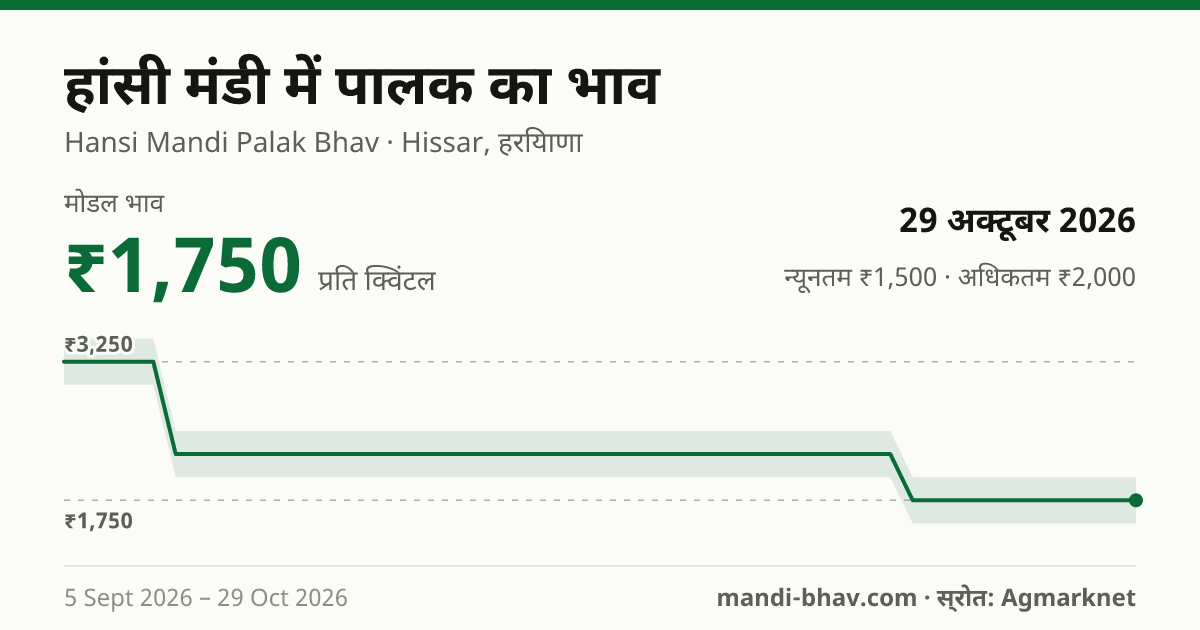 हांसी मंडी में पालक का भाव 29 अक्टूबर 2026: मोडल ₹1,750 प्रति क्विंटल, भाव के रुझान का चार्ट