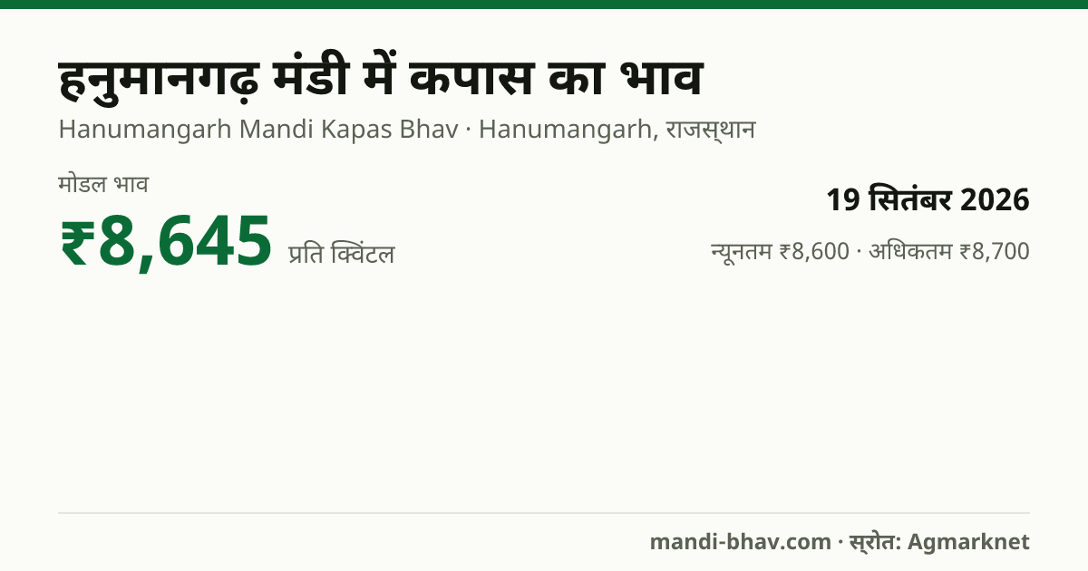 हनुमानगढ़ मंडी में कपास का भाव 19 सितंबर 2026: मोडल ₹8,645 प्रति क्विंटल, भाव के रुझान का चार्ट