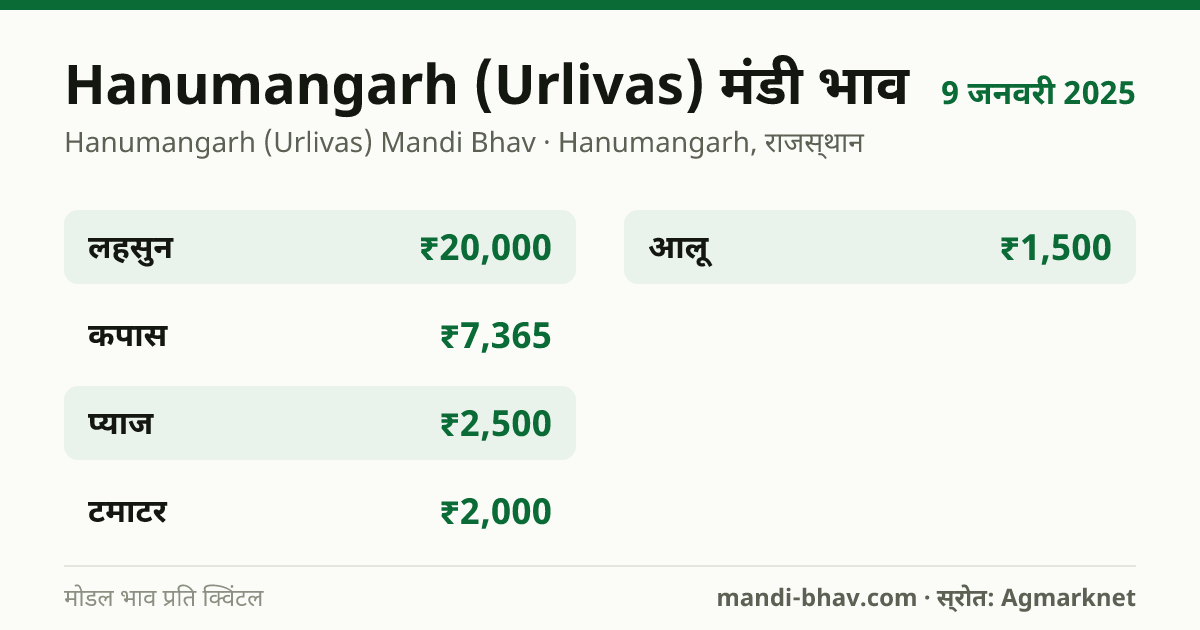 Hanumangarh (Urlivas) मंडी भाव 9 जनवरी 2025: फसलवार मोडल रेट प्रति क्विंटल