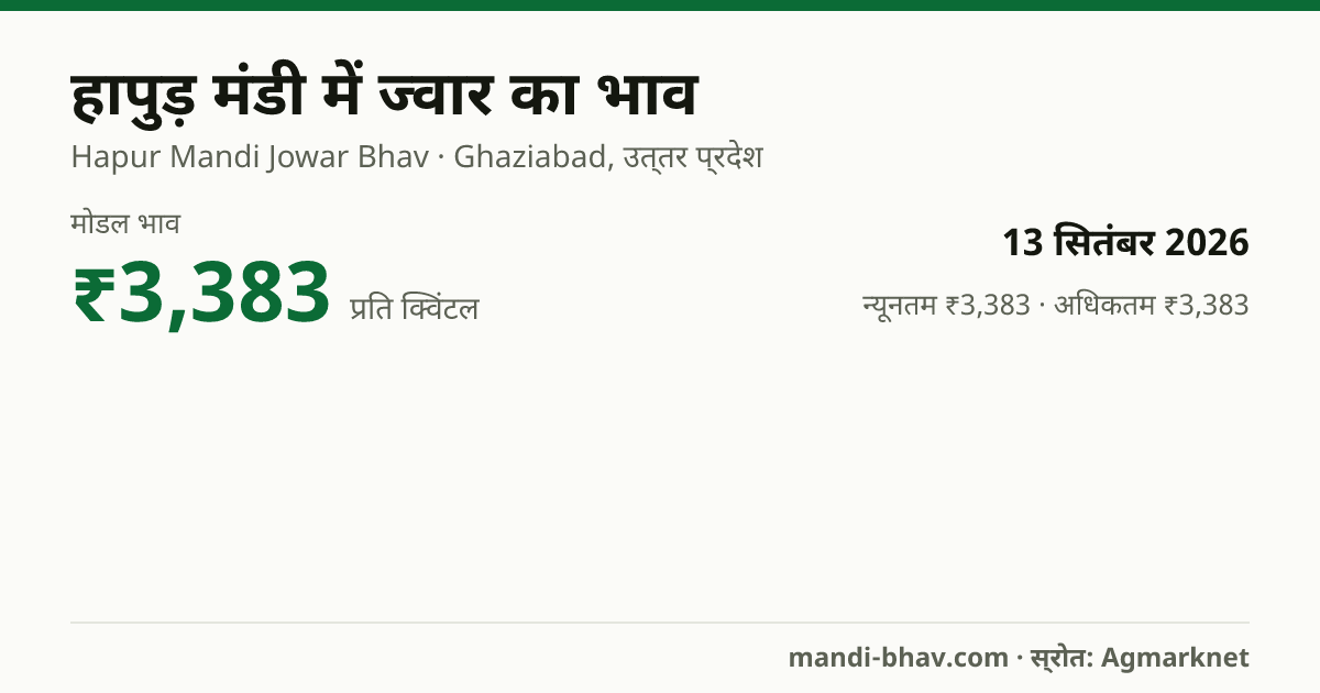 हापुड़ मंडी में ज्वार का भाव 13 सितंबर 2026: मोडल ₹3,383 प्रति क्विंटल, भाव के रुझान का चार्ट