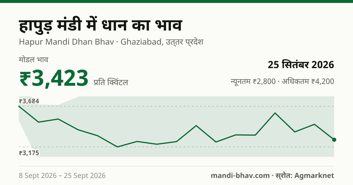 हापुड़ मंडी में धान का भाव 25 सितंबर 2026: मोडल ₹3,423 प्रति क्विंटल, भाव के रुझान का चार्ट