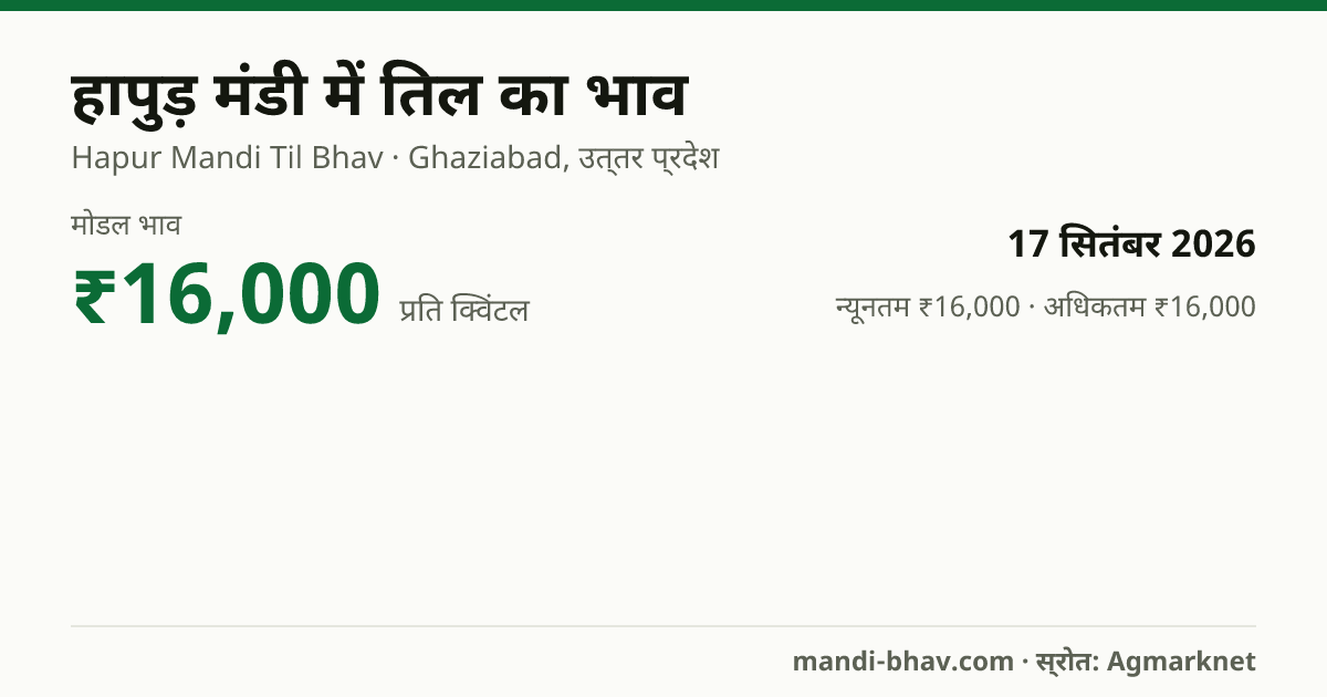 हापुड़ मंडी में तिल का भाव 17 सितंबर 2026: मोडल ₹16,000 प्रति क्विंटल, भाव के रुझान का चार्ट