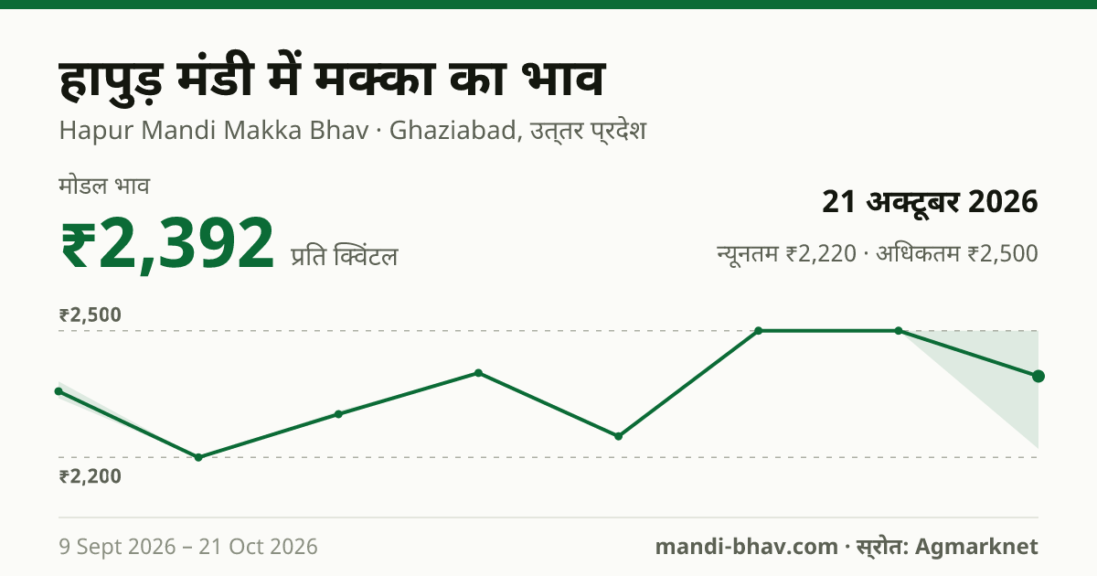 हापुड़ मंडी में मक्का का भाव 21 अक्टूबर 2026: मोडल ₹2,392 प्रति क्विंटल, भाव के रुझान का चार्ट