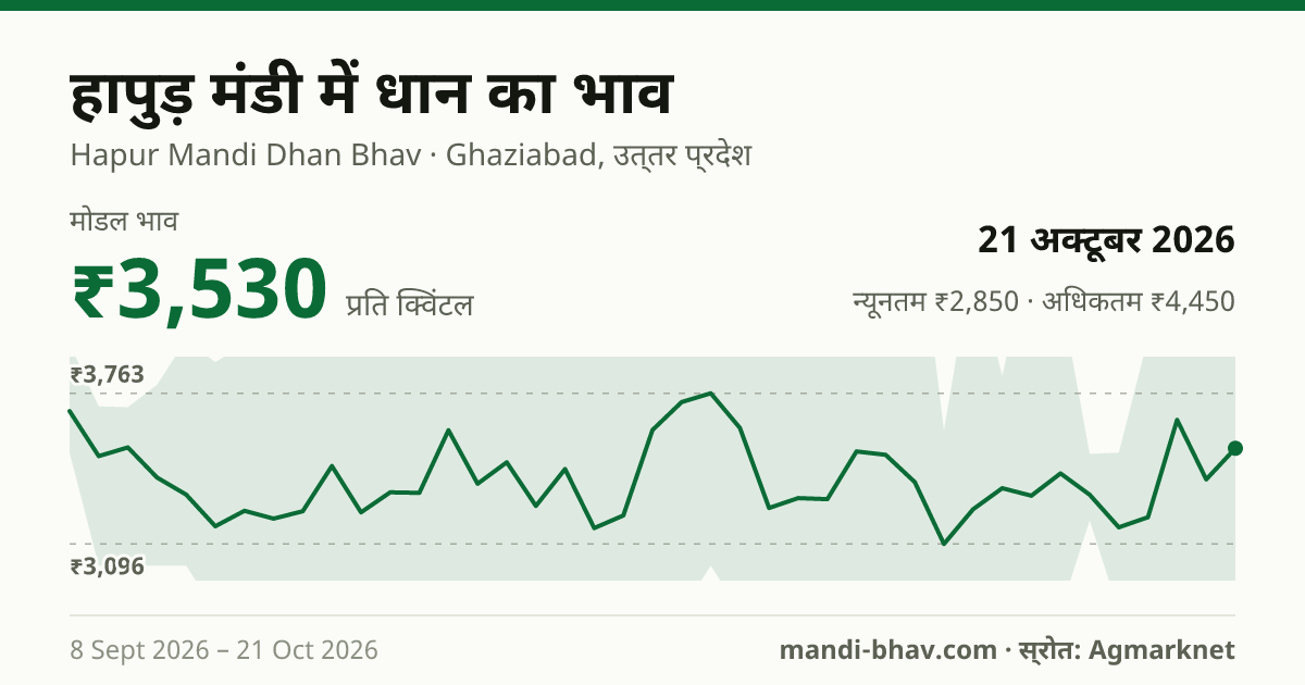 हापुड़ मंडी में धान का भाव 21 अक्टूबर 2026: मोडल ₹3,530 प्रति क्विंटल, भाव के रुझान का चार्ट