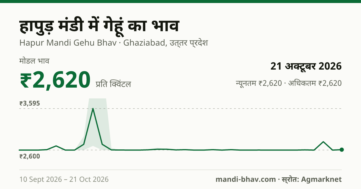 हापुड़ मंडी में गेहूं का भाव 21 अक्टूबर 2026: मोडल ₹2,620 प्रति क्विंटल, भाव के रुझान का चार्ट