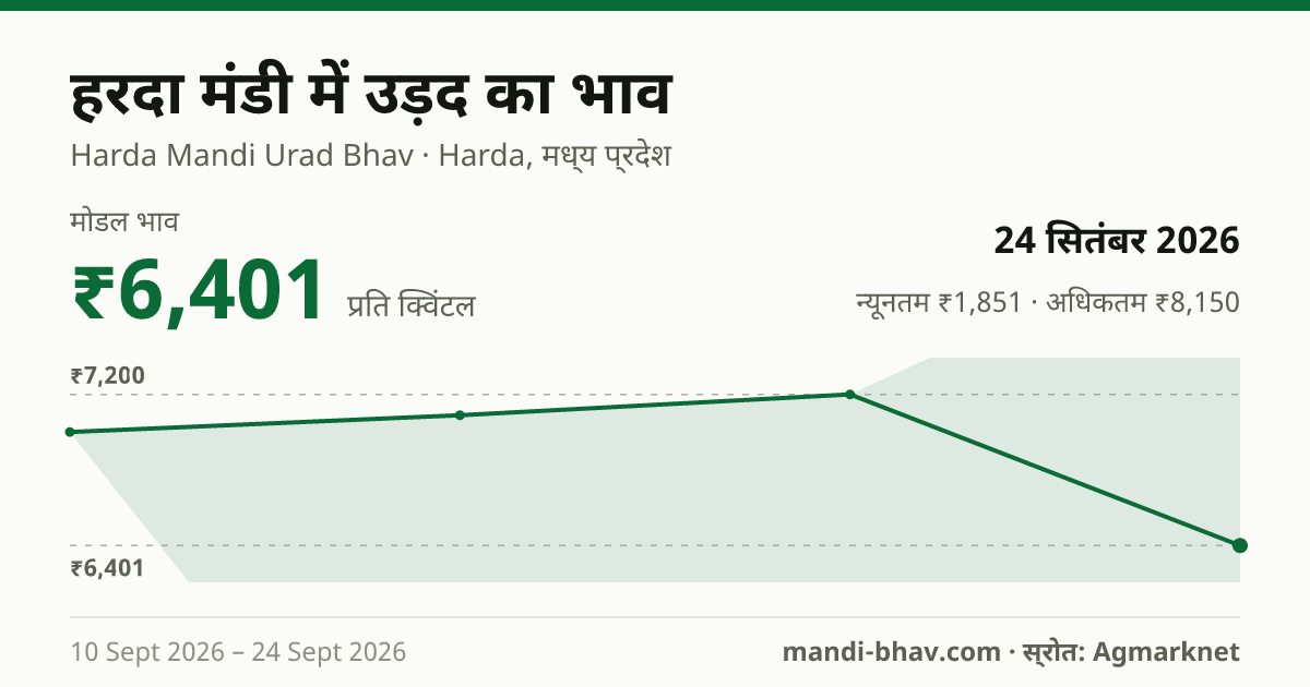 हरदा मंडी में उड़द का भाव 24 सितंबर 2026: मोडल ₹6,401 प्रति क्विंटल, भाव के रुझान का चार्ट