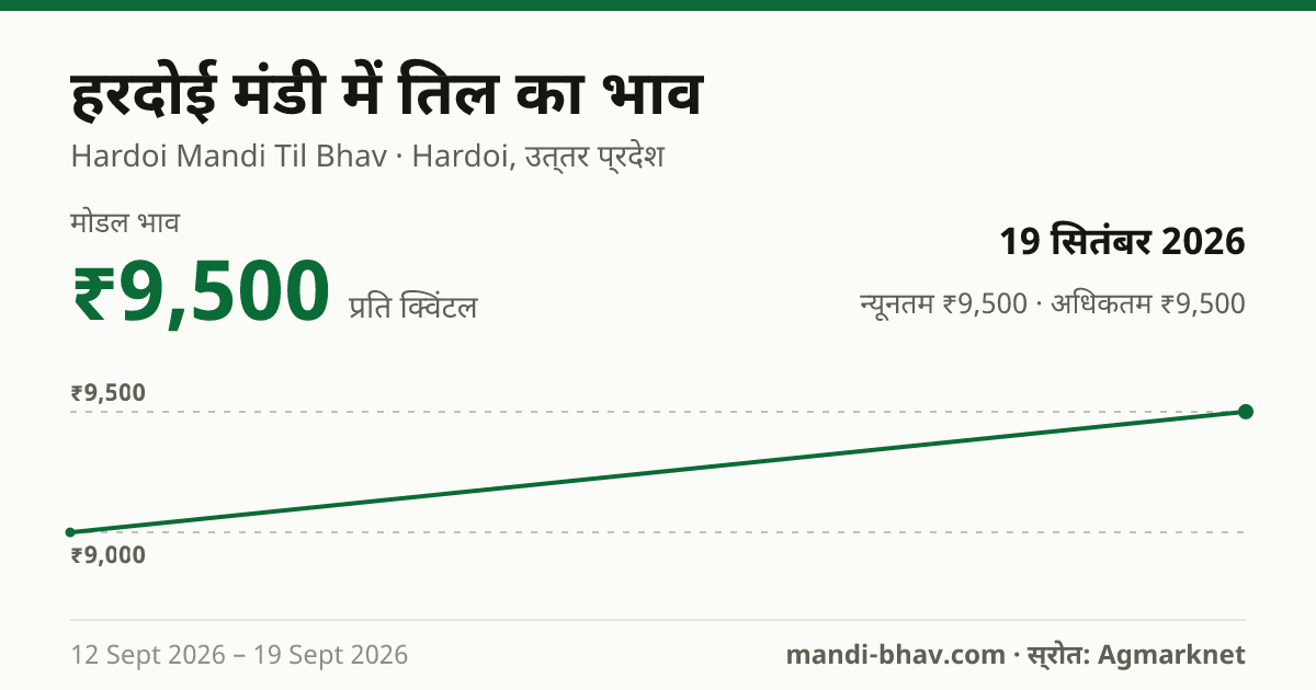 हरदोई मंडी में तिल का भाव 19 सितंबर 2026: मोडल ₹9,500 प्रति क्विंटल, भाव के रुझान का चार्ट