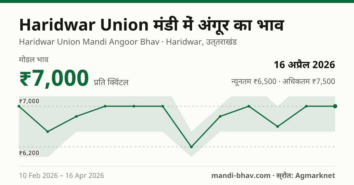 Haridwar Union मंडी में अंगूर का भाव 16 अप्रैल 2026: मोडल ₹7,000 प्रति क्विंटल, भाव के रुझान का चार्ट
